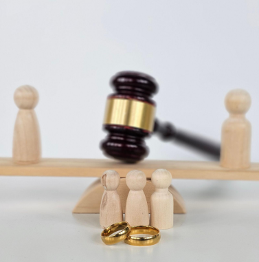 Best Family Lawyers in Bangalore